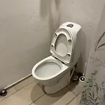 Mini 11 * بيلوند